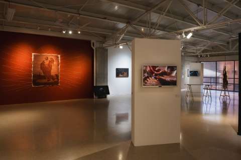 Clemencia Echeverri reflexiona con jóvenes artistas sobre crueldad animal en esta exposición
