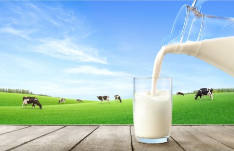 Día mundial de la leche: Alpina y ABACO se unen para llevar más de 27.000 vasos