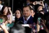 Leonardo DiCaprio dona cinco millones de dólares para luchar contra incendios en el Amazonas