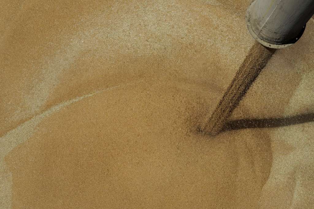 Crisis de los cereales: Ucrania y su incierto panorama para exportar