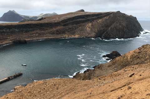 Proyecto minero amenaza delfines y pingüinos en isla de Choros en Chile