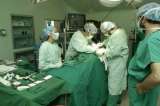 Donantes de órganos deben tener prioridad en listados para trasplantes: Procuraduría