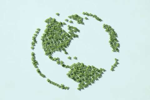 Economía verde y sostenible, el horizonte del sistema financiero colombiano