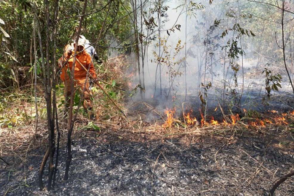 Momento en el que las autoridades trabajan para apagar el fuego. / Parques Nacionales Naturales
