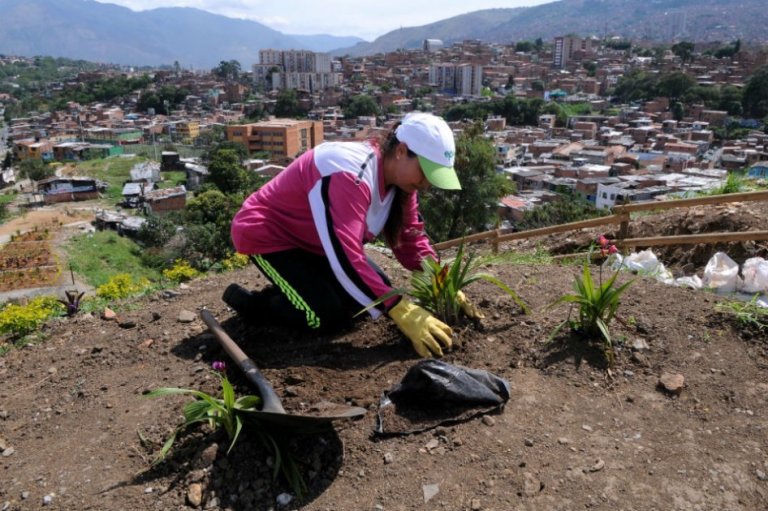 En Medellín, hasta la basura florece