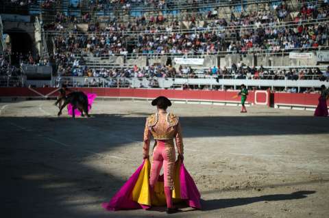 Fallece el torero español Palomo Linares