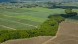 Gobierno anuncia compra de 937 hectáreas de tierra para comunidades del Cauca