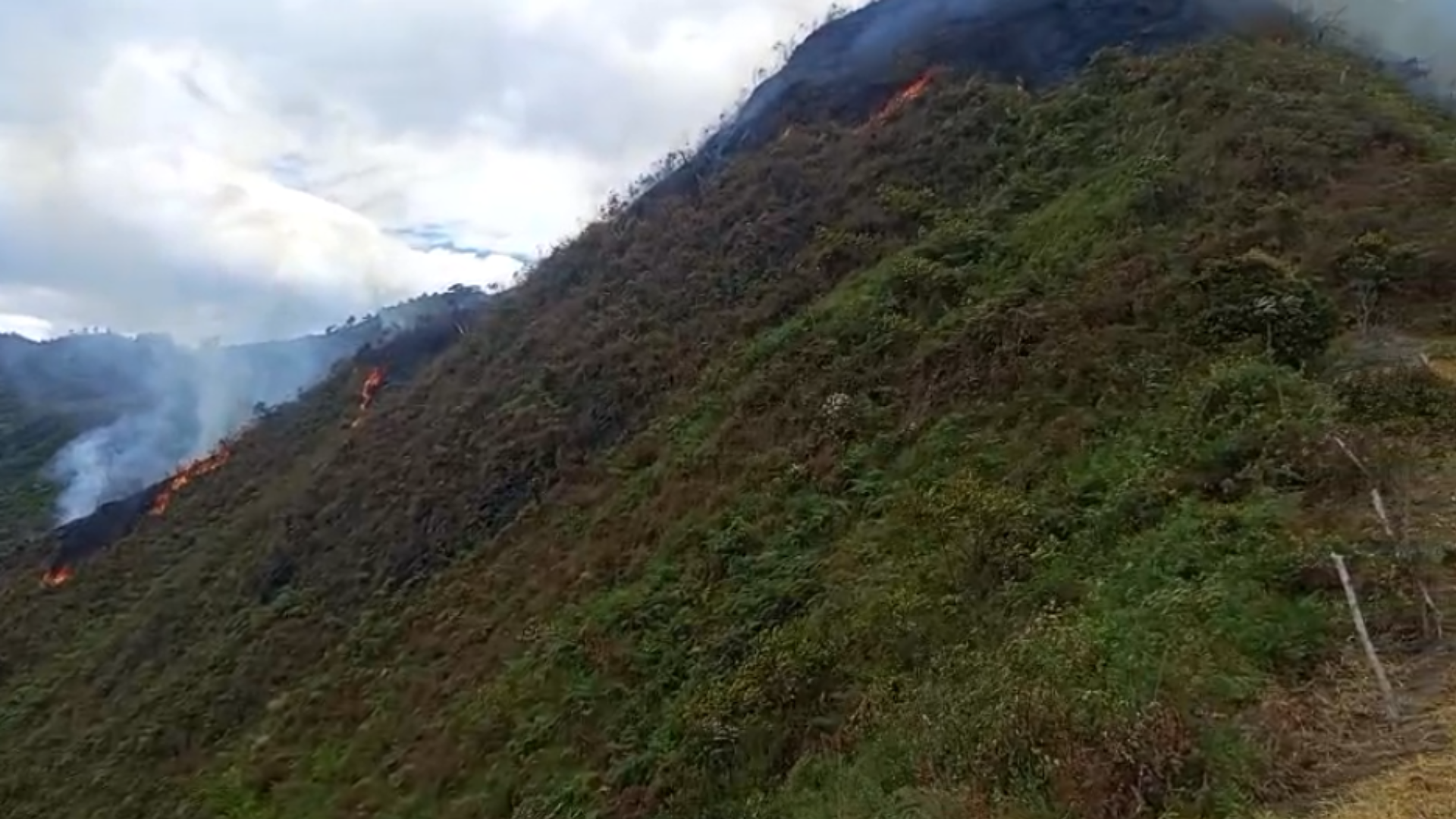 Bomberos de Cundinamarca