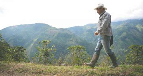 ¿Cómo concertar agendas de desarrollo rural?