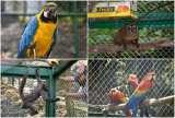 Entró en operación el Centro de Atención de Fauna Silvestre en Tocaima, Cundinamarca