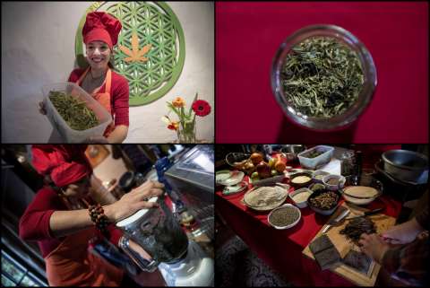 Imágenes: la gastronomía chilena se deja seducir por el cannabis terapéutico