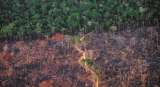 Preocupación por récord de alertas de deforestación en la Amazonía brasileña