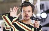 Harry Styles y los acosadores, según su biografía no autorizada