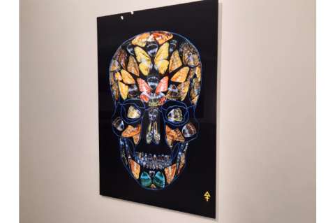 LA Galería reabre sus puertas con “Vanitas”