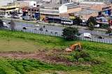 Protestan por futuro del humedal El Burrito, en el sur de Bogotá, donde avanzan construcciones