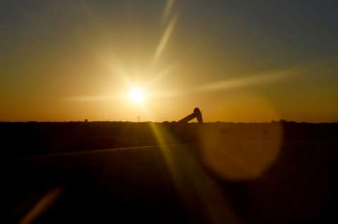 Lagartija pone en aprieto inversiones en yacimiento petrolero de Vaca Muerta