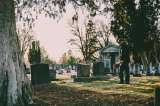 10 frases de Las intermitencias de la muerte que reflexionan sobre el miedo a morir