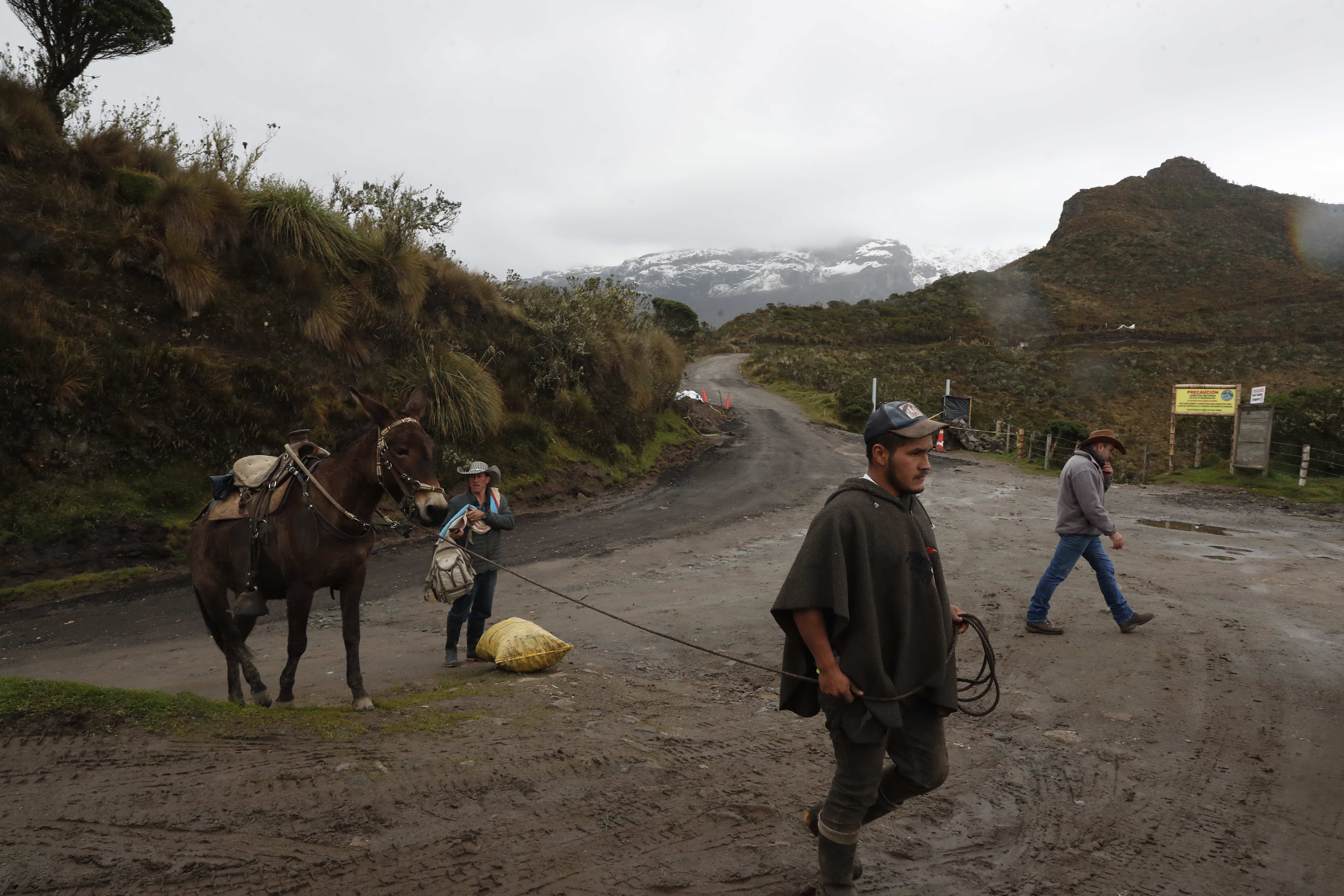 AME9352. MURILLO (COLOMBIA), 06/04/2023.- Campesinos salen con sus pertenencias y ganado del Volcán Nevado del Ruiz, hoy en Murillo (Colombia). El Servicio Geológico Colombiano (SGC) informó este jueves que la actividad sísmica en el volcán Nevado del Ruiz continúa variable, con un aumento en las últimas horas, por lo que se mantiene la alerta naranja."La actividad sísmica relacionada con el movimiento de fluidos al interior de los conductos volcánicos mostró aumento respecto al día anterior y estuvo asociada a varias emisiones pulsátiles y continuas de ceniza", dijo el SGC en un comunicado. EFE/ Ernesto Gúzman Jr.