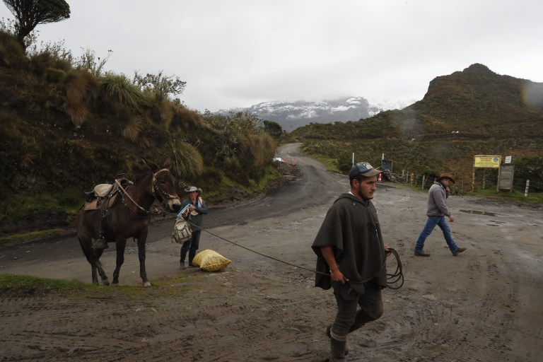 Nevado del Ruiz: el dilema de los campesinos de evacuar o salvar a sus animales