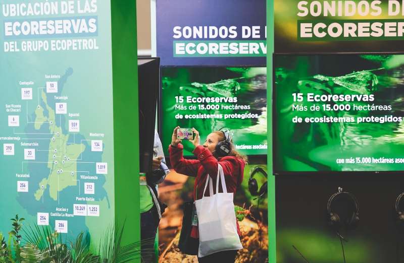 En la asamblea de accionistas de Ecopetrol de esta semana se elegirán nuevos miembros de junta directiva.
