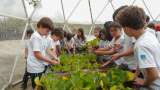 Estudiantes de colegios en Bogotá podrán participar virtualmente de la COP16