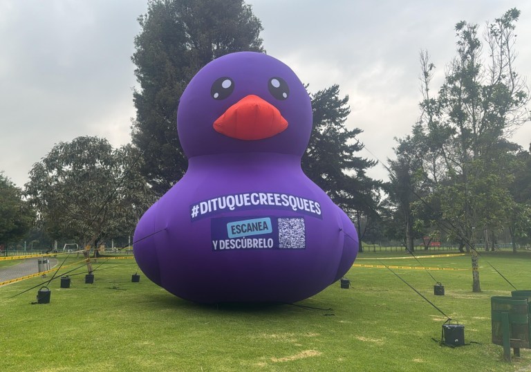 ¿Por qué siguen apareciendo patos morados en Bogotá? Hay uno en el Simón Bolívar