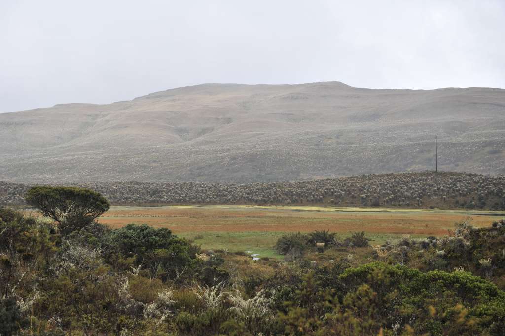 Localidad de Bogotá que fue declarada reserva campesina, diferentes aspectos: Cultivos, habitantes, páramo.
