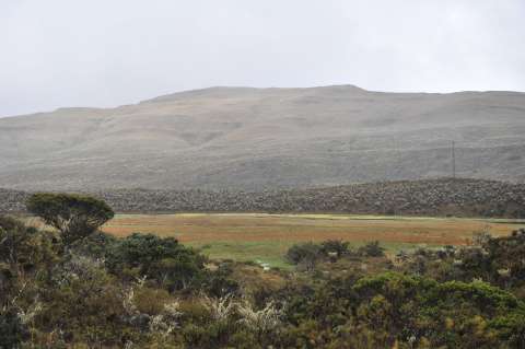 Se logran acuerdos con cinco municipios para la delimitación del Páramo Cruz Verde–Sumapaz