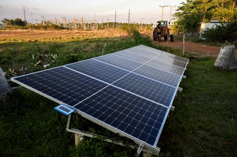 Minigranjas solares: solución para democratizar energía renovable