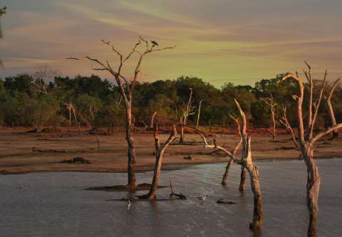 Sequías repentinas bajo el cambio climático