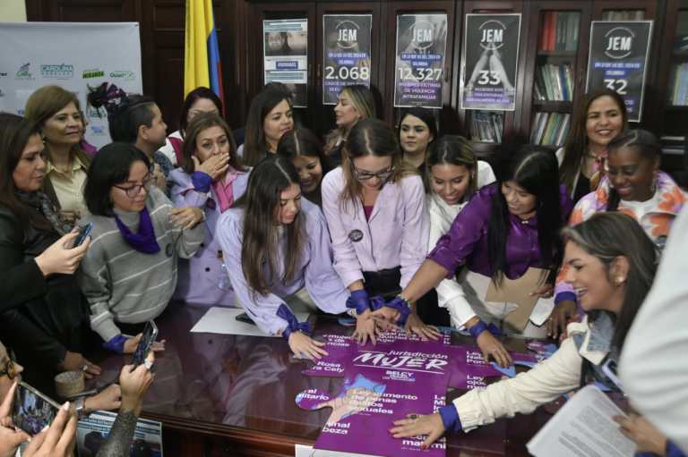 Trancón legislativo frenó proyecto sobre la jurisdicción que combatiría violencia de género