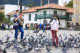 "Vamos a hacer una intervención médica a las palomas": Distrito
