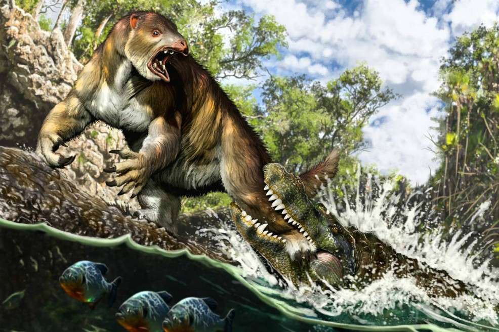 Ilustración del ataque de un "Purussaurus" al perezoso "Pseudoprepotherium" en un pantano de la proto-Amazonia, hace 13 millones de años.
