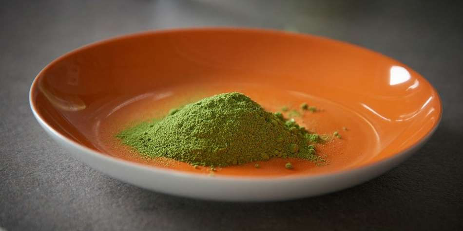 Seis recetas de grandes propiedades nutricionales a base de moringa