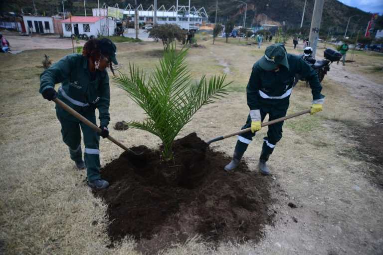 Según la administración distrital, esta jornada ratifica el compromiso que se tiene para avanzar en el mejoramiento de las coberturas vegetales de la ciudad.