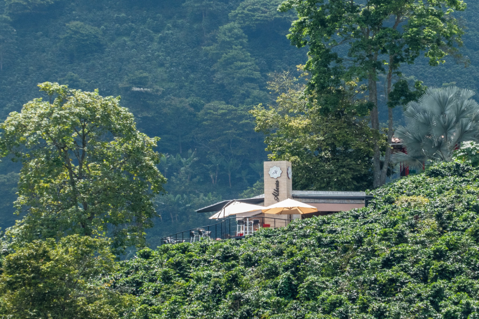 Terraza del Café San Alberto, Turismo en Colombia.