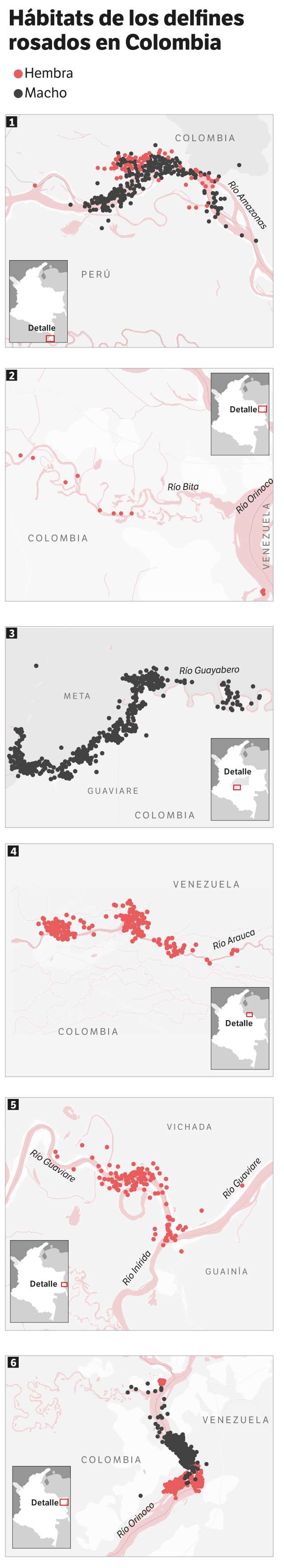 Hábitats de los delfines rosados en Colombia. / Jonathan Bejarano