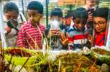 Galería: Así se vive la exposición de plantas carnívoras en el Jardín Botánico de Bogotá