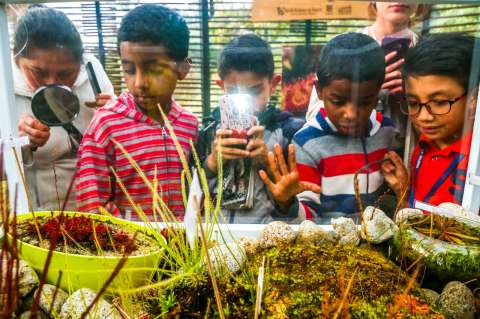 Galería: Así se vive la exposición de plantas carnívoras en el Jardín Botánico de Bogotá