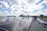 Las energías renovables siguen creciendo en el mundo, pero el ritmo es insuficiente