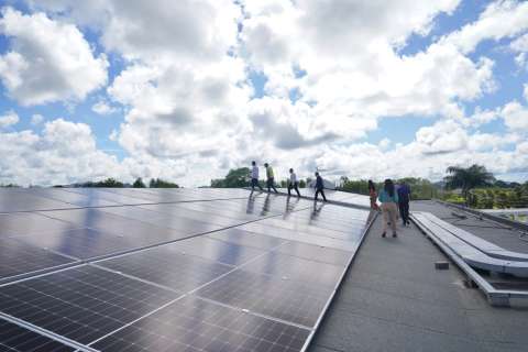 Las energías renovables siguen creciendo en el mundo, pero el ritmo es insuficiente