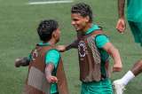 Palmeiras vs. Botafogo: hora y dónde ver en vivo el Mundial de Clubes
