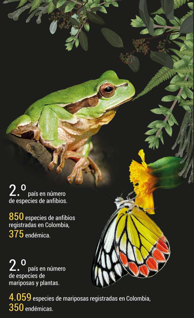 Colombia, destino ecoturístico por naturaleza.