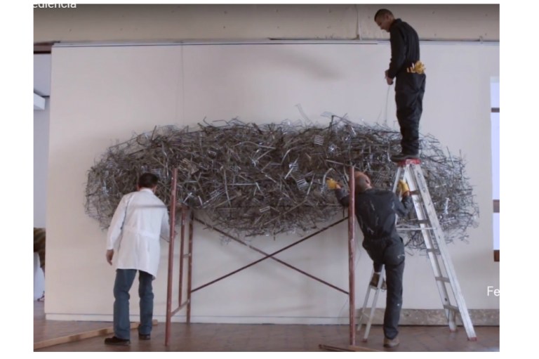 El arte de la desobediencia en el Museo de Arte Moderno de Bogotá