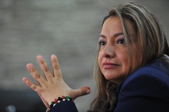 Luz Helena Sarmiento, exministra de Ambiente y exdirectora de la Autoridad Nacional de Licencias Ambientales (Anla). / Luis Ángel - El Espectador