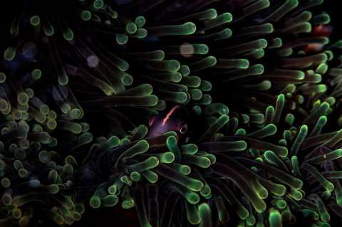 Las mejores fotos para celebrar la maravilla y la crueldad de la naturaleza
