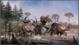 Los Triceratops,  populares por Jurassic Park, sí vivían en manadas