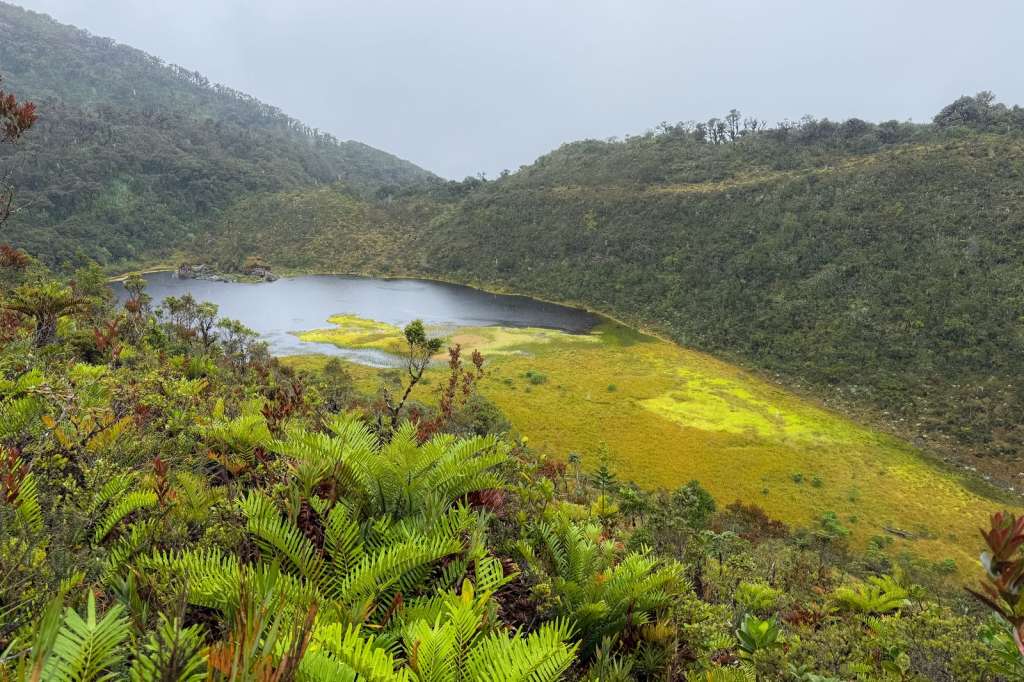 Anuncian millonaria inversión en parque ecoturístico de la Laguna de La Petaca
