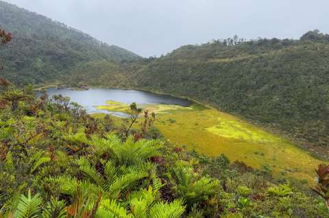 Anuncian millonaria inversión para parque ecoturístico en la laguna de La Petaca