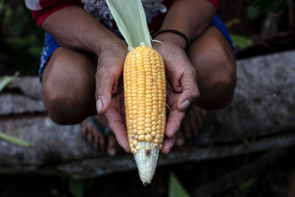 Para alimentarnos, los humanos usamos el 40% de los suelos disponibles.